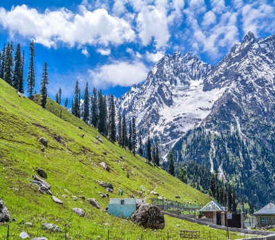 KASHMIR FOR 06 NIGHTS  07 DAYS